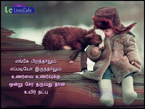 Dppicture: Feeling Natpu Kavithai Friendship Quotes In Tamil