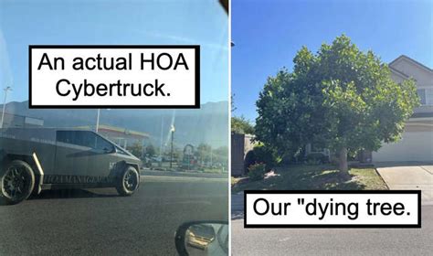 17 Memes And Images That Fully Capture The Hoas Insanity