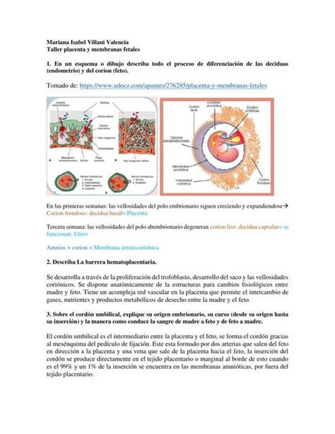 Placenta Y Membranas Fetales Mariana Villani Udocz