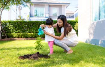 Caring for Tree Saplings | Cumming, GA