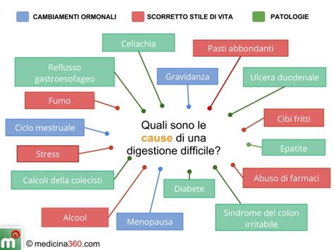 Lutto Vergogna Accorciare Sintomi Di Digestione Lenta Mucchio Ricetta Canoa