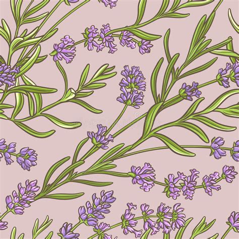 Lavender Seamless Pattern Stock Vector Illustration Of Hand