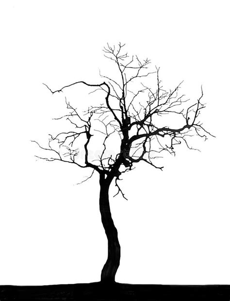 Old Dead Tree Art