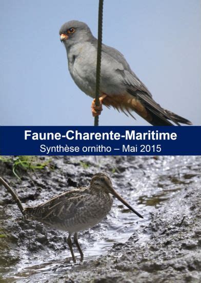 Toutes Les Nouvelles Faune Charente Maritime Org