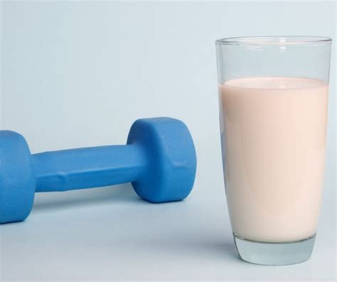 Is Milk Protein Isolate Vegan? - Best Vegan Tips