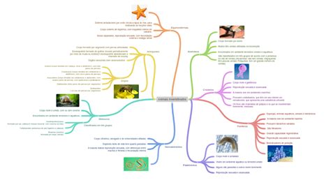 Os Invertebrados Podem Ser Divididos Em Terrestres E Aquáticos - Animais Invertebrados - Coggle Diagram