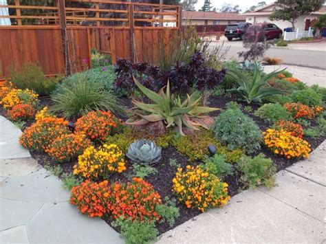 Drought Tolerant Plants for Northern California Sacramento