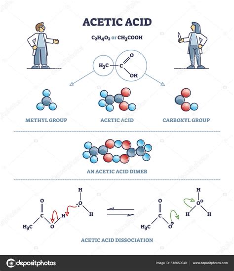 Acetic Acid Formula Or Vinegar Substance Chemical Description Outline Diagram Stock Vector Image