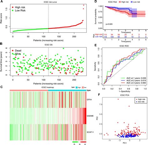 Frontiers Identification And Validation Of Pyroptosis Related Gene