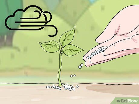 How to Apply Urea Fertilizer: 14 Steps (with Pictures) - wikiHow