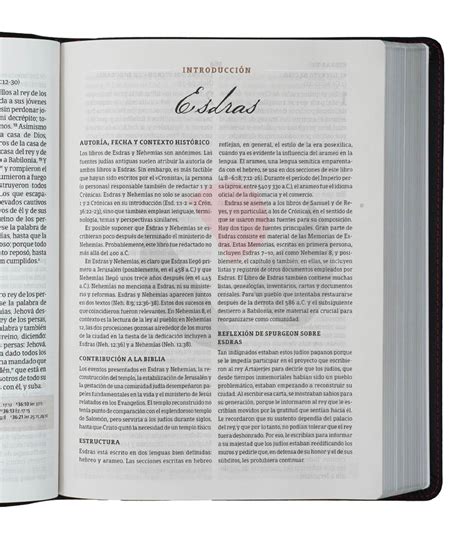 Biblia De Estudio Spurgeon Rvr Negro Piel Genuina Libreria Peniel