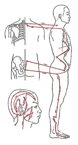 Gallbladder Meridian