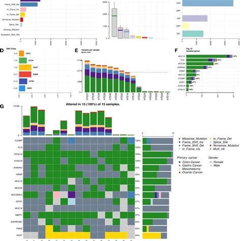 Of The Non Synonymous Mutational Landscape N Patients A B