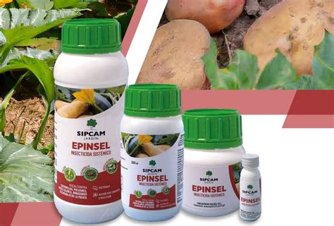 Epinsel Insecticida Sistemico Contra El Picudo Sipcam Jardineriadelvalles