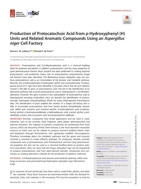 PDF Production Of Protocatechuic Acid From P Hydroxyphenyl H Units