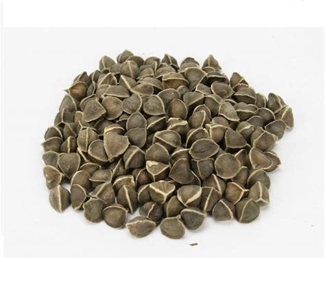 Common Drumstick Seeds For Cooking Feature Floury Texture Non