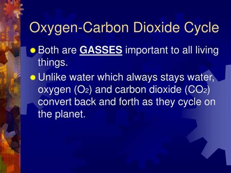 PPT - THE OXYGEN-CARBON DIOXIDE CYCLE. PowerPoint Presentation, free download - ID:259743