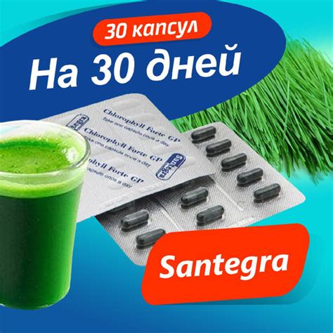 Хлорофилл Santegra, природный антисептик, жидкий хлорофилл в капсулах ...