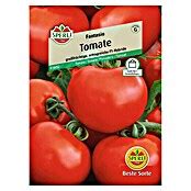 Sperli Gem Sesamen Tomate Fantasio Solanum Lycopersicum Erntezeit