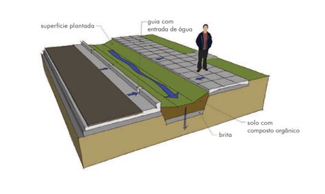 Jardim de chuva definição vantagens e como fazer eCycle