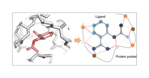 Predicting DrugTarget Interaction Using A Novel Graph Neural Network