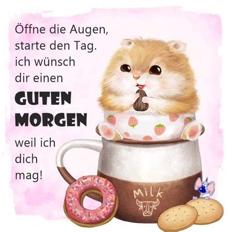 Sprueche Lustig Guten Morgen Ideas In Sprucheygs