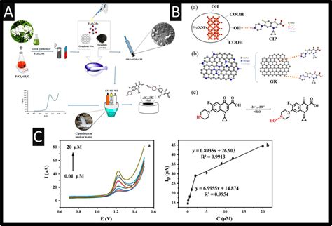 A An Overview Of How Rgo Mip Sensing Was Achieved And Their Response