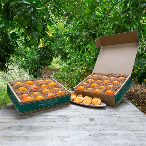 Organic Fuyu Persimmons - Frog Hollow Farm