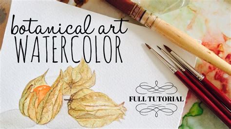 Full Watercolour Tutorial Botanical Art Physalis On Learn To Paint