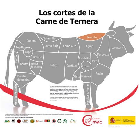 Jarrete De Ternera Qu Parte Es Homarus