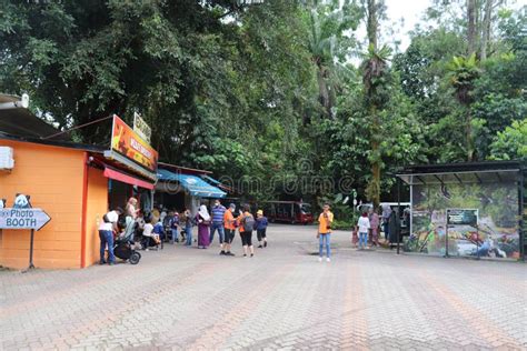 Zoo Negara In Kuala Lumpur Stock Image Image Of Green 258586645