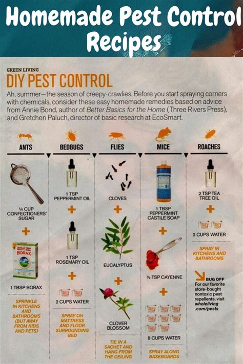 Homemade Pest Control Recipes For Home And Garden Plants