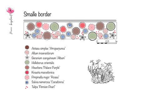 Kant En Klaar Beplantingsplan Border Mooi Beplant