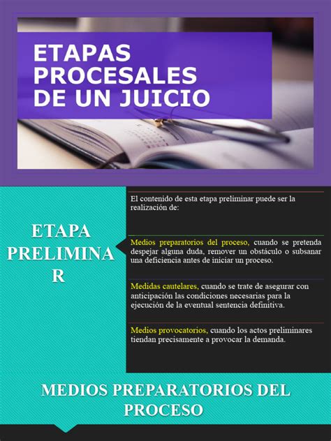 Etapas Procesales Pdf Demanda Judicial Ley Procesal