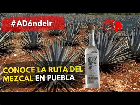 Conoce La Ruta Del Mezcal En Puebla YouTube