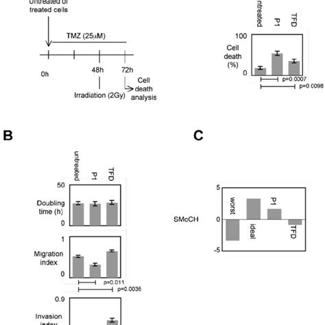 Impact Of P1 On Cancer Hallmarksphenotypes A Schematic Download