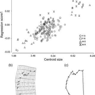 Pooled Within Habitat And Sex Multivariate Regression Of Shape Onto