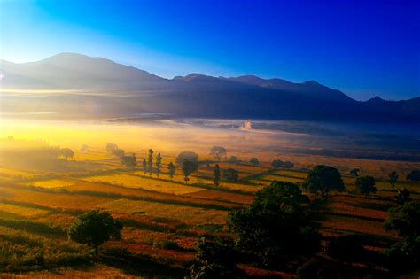 Araku Valley Weather In Winter Cold Seasons