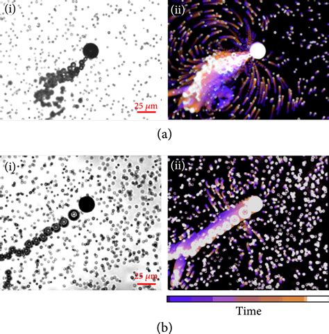 Multigear Bubble Propulsion Of Transient Micromotors Research