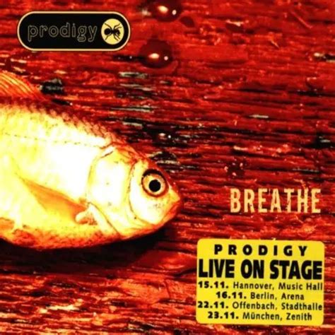 Prodigy Breathe (Vinyl Records, LP, CD) on CDandLP