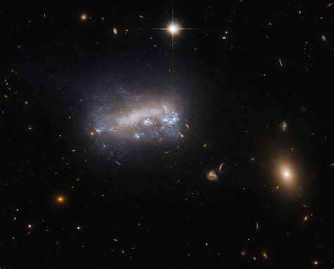 Hubble Views Dwarf Galaxy LEDA 4216 My Space Stories