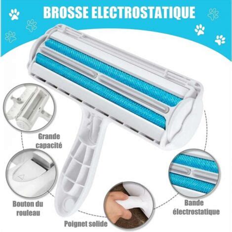 Brosse Anti Poils R Utilisable Brosse Ramasse Poils Animaux