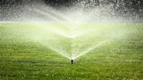 Lawn Irrigation: Transforming Your Collegeville Greens with Advanced Sprinkler Systems