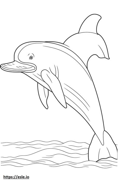 Baleen Whale Sleeping Coloring Page