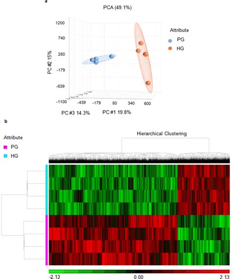 Whole Genome Dna Methylation Profiling In Hnpcs Under Pg Or Hg Using