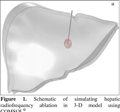 Figure 1 From Pre Clinical Modelling And Simulation Of Hepatic