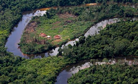 La Minería Ilegal Del Oro En Brasil Amenaza A Una Importante Etnia