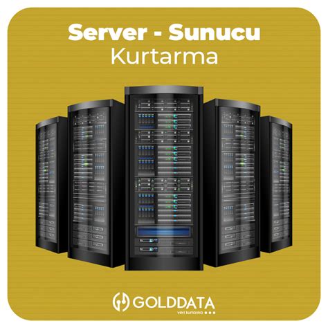 Server Kurtarma Sunucu Kurtarma Gold Data Veri Kurtarma