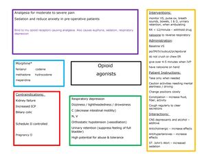 Vancomycin Ati Active Learning Template Nur Studocu