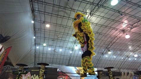 4K High Pole Performance By World Lion Dance Champion YiWei At Hong